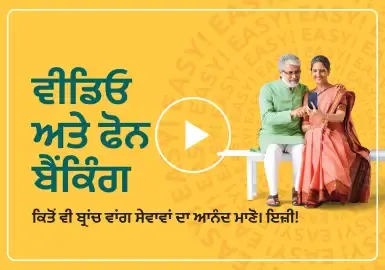 300x192pix Punjab VPB