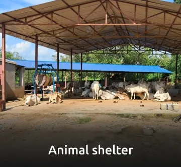 Animal shelter