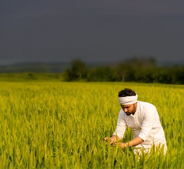 Crop Loan Mobile