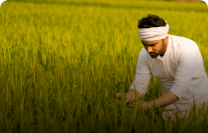 KPC Crop Loan