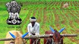 kissan 5
