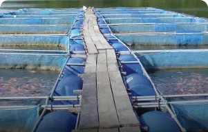 kpc pisciculture