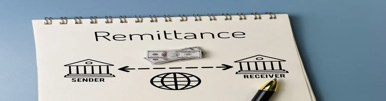 Liberalised Remittance Scheme (LRS): The Limit, TCS and Rules