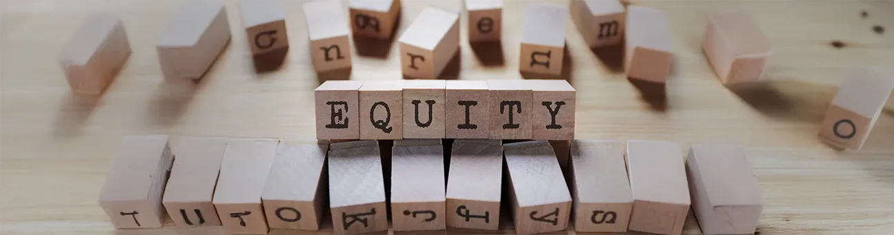 What are Equity Mutual Funds?