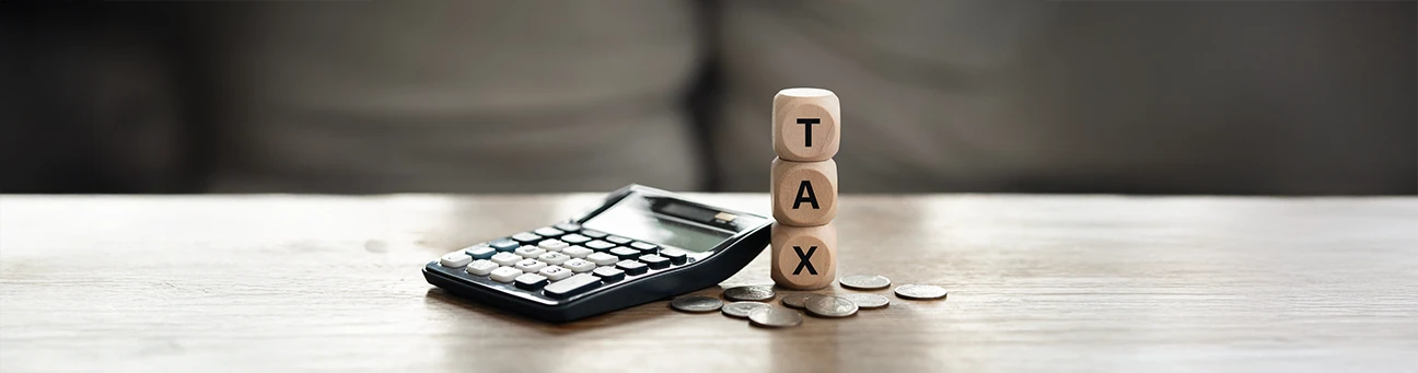 itr-everification-options