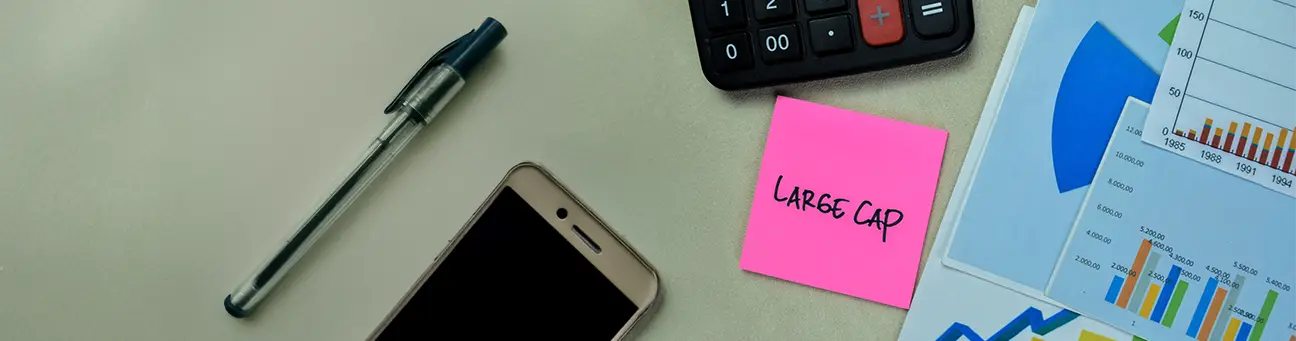 what-are-large-cap-mutual-funds