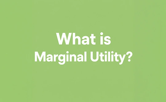 what-is-marginal-utility